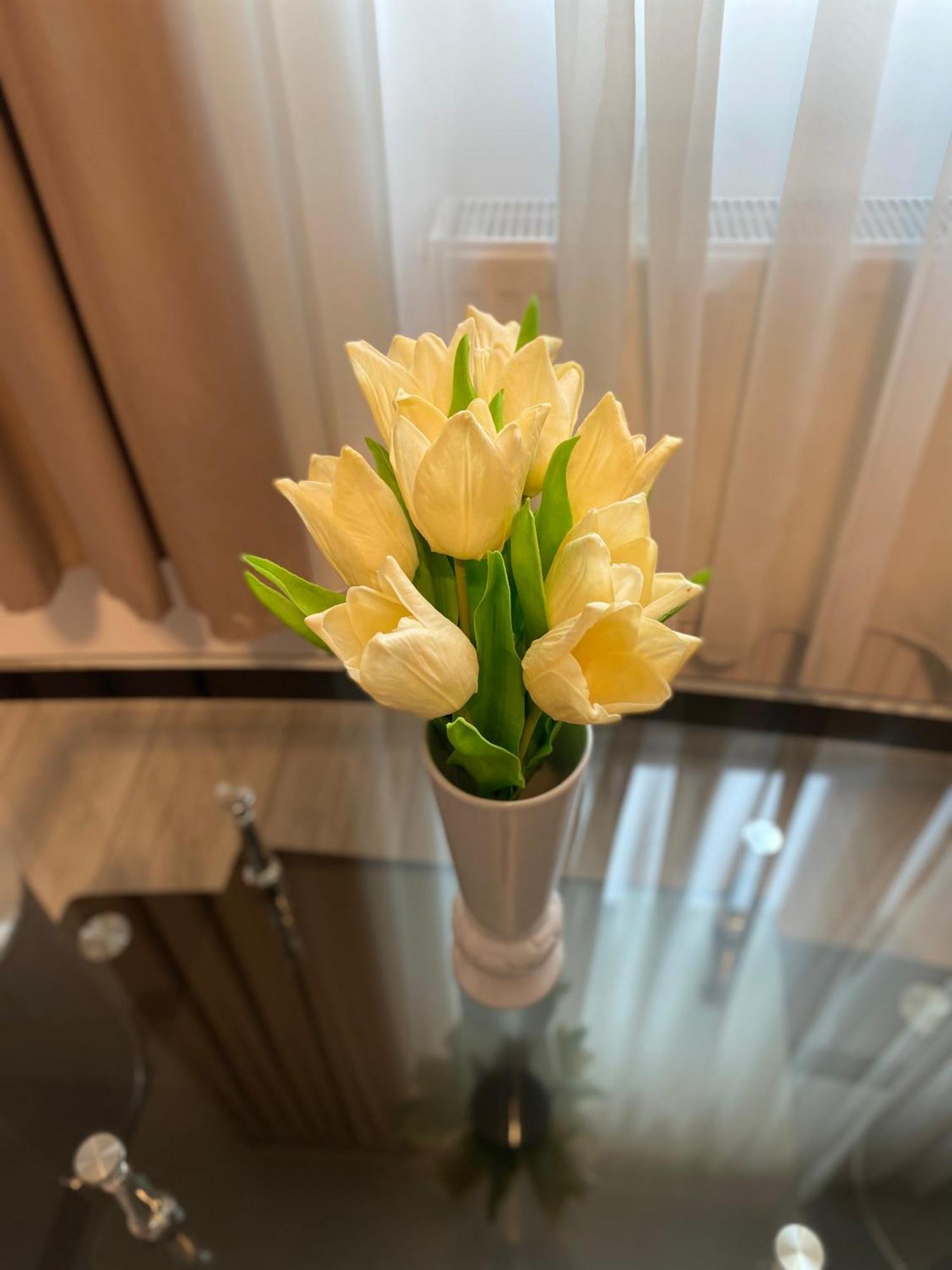 Ferienwohnung Garsoniera Trivale City Piteşti Exterior foto